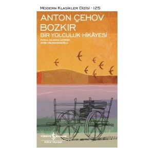 Bozkır: Bir Yolculuk Hikayesi - Anton Çehov