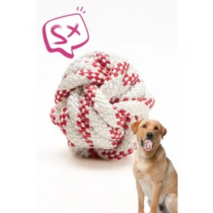 Büyük Boy 9 cm Eğitim Topu, 2 Adet Set