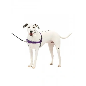 Çekmeyi Önleyici Kolay Kullanım Köpek Tasmaları