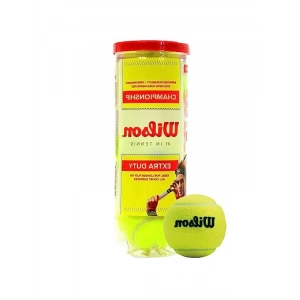 Champ Extra Duty Tennis Balls