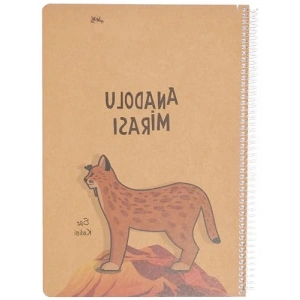 Çizgili A4 Spiralli Defter - 100 Yaprak (Asorti Renkler)
