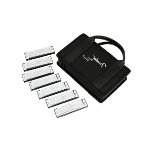 Çok Yönlü Blues Harmonica Seti