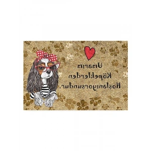 Dekoratif Kapı Önü Paspası, 45X70 cm Tasarımı ile Dış Mekan Kullanımı için