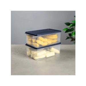 Derin Dondurucu Saklama Kabı - 2.1 L Kapasite