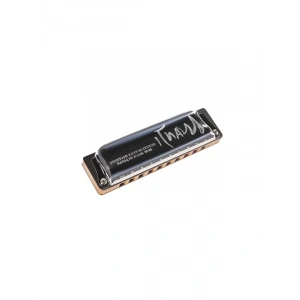Diatonik Harmonica, G Anahtarı ile