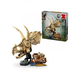 Dinozor Fosilleri - Triceratops Kafatası Modeli