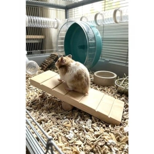 Doğal Ahşap Hamster Tahtıravalli Oyuncağı, 20x7 cm Boyutunda Eğlenceli