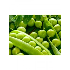 Doğal Bezelye Tohumu - Yüksek Kalite
