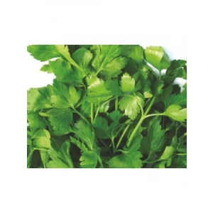 Doğal İri Yaprak Maydanoz Tohumu - 10 Gram