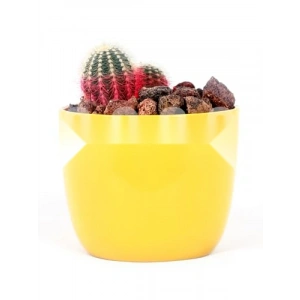 Doğal Kırmızı Pomza Taşı - 2-3 cm Volkanik Cürüf