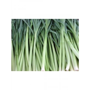 Doğal Pırasa Tohumu - 10 Gr