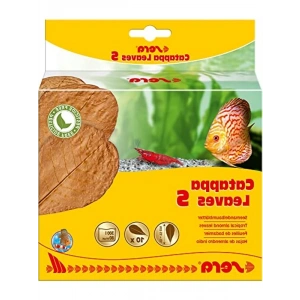 Doğal Su Arıtımı için Catappa Yaprakları - 10 Adet, 10-15 cm