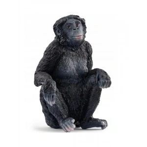 Doğayı Keşfet: Bonobo Figürü