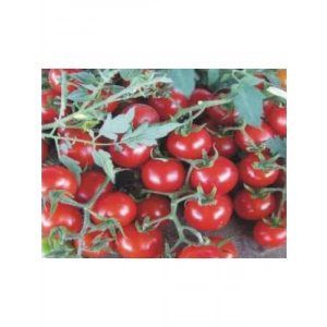 Domates Cherry Tohumu - 100 Adet
