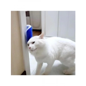 Duvara Monte Edilebilir Kedi Kaşınma Aparatı
