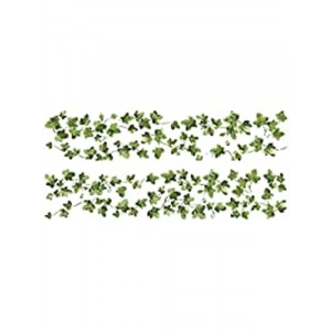 Duvardan Çıkarılabilir Klettern Ivy Duvar Çıkartması, 27 x 12,7 cm