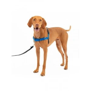 Easy Walk Köpek Koşum Takımı