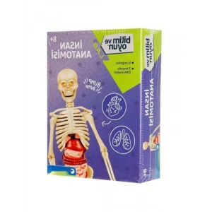 Eğitici İnsan Anatomisi Seti