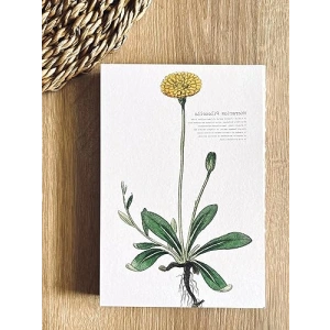 El İşçiliği ile Özel Tasarım A5 Çizgili Not Defteri