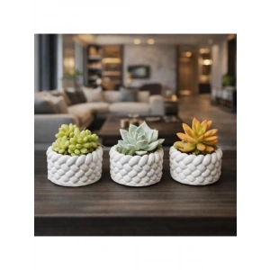 El Yapımı Mini Saksı Seti, 5 cm, Modern Beton Tasarım