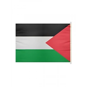 Elde Sallama Bayrağı - Filistin 30x45 cm