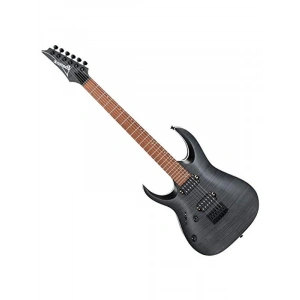Elektro Gitar, RGA Serisi, Şık Tasarım ve Yüksek Performans