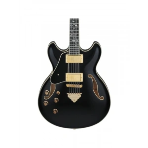 Elektro Gitar - Üst Düzey Ses Kalitesi