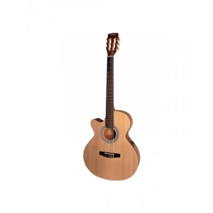 Elektro Klasik Gitar, Şık Tasarım ve Yüksek Performans