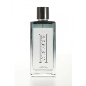 Erkek Parfümü - 100 ml, Ferah ve Çekici Koku