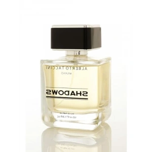 Erkek Parfümü - Ferah ve Çekici - 100 ml