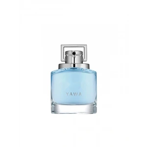 Erkekler için 100 ml Away EDT Parfüm