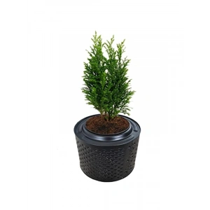 Fırınlanmış Metal Büyük Saksı - 33-38 cm Yükseklik, 45-55 cm Çap