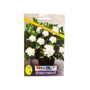 Gardenya Çiçeği Tohumu, Bahçenizi Renklendirmek İçin