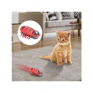 Hareketli Uğur Böceği Şeklinde Kedi Oyuncağı