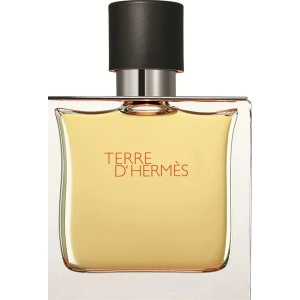 Hermes Terre DHermes Edt 100 Ml Erkek Parfüm