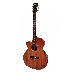 İnce Kasa Elektro Akustik Gitar