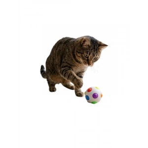 Işıklı Darbeye Duyarlı Kedi Topu, 6 cm Zıplayan Oyuncak