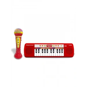 Işıklı Org ve Mikrofon ile 24 Tuşlu Karaoke Seti