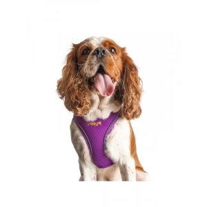 İsimli Airmesh Göğüs Tasması, Küçük ve Orta Irk Köpekler İçin