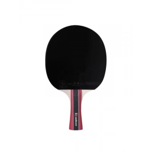 ITTF Onaylı Masa Tenisi Raketi ile Performansınızı Artırın