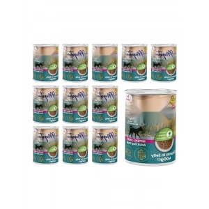 Jöleli Biftekli Yaş Mama - 400 gr, 12li Paket