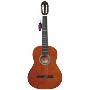 Kahverengi Klasik Gitar, 3900 Modeli, Şık Tasarım