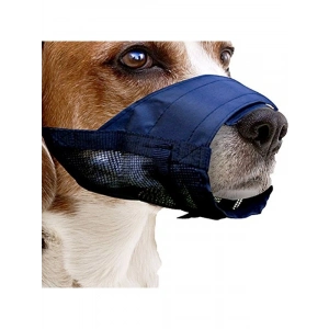 Kalın Yapılı Köpek Ağızlığı, No:2 S Beden