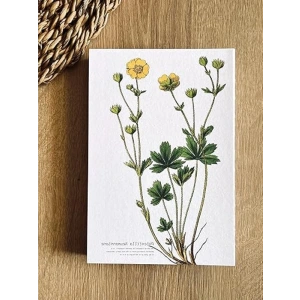 Kapaklı A5 Kareli Not Defteri, Özel Tasarım, Ofis İçin İdeal