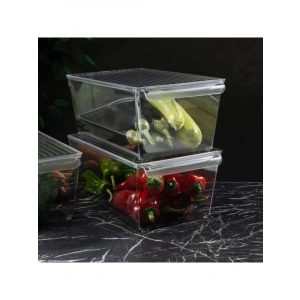 Kapaklı Şeffaf PET Buzdolabı Düzenleyici (XL)