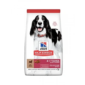 Katlanabilir Silikon Mama ve Su Kabı, 350 ML, Taşınabilir