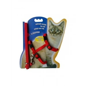 Kedi Boyun Tasması ve Gezdirme Seti - Kırmızı