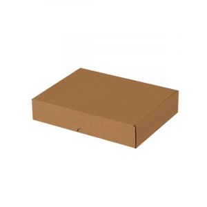 Kilitli E-Ticaret Karton Kargo Kutusu 26x19x5 cm 25 Adet