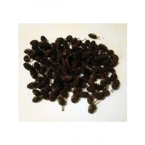 Kızılağaç Kozalağı - 5 Adet