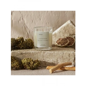 Kokulu Mum, Yeşil Dokunuş